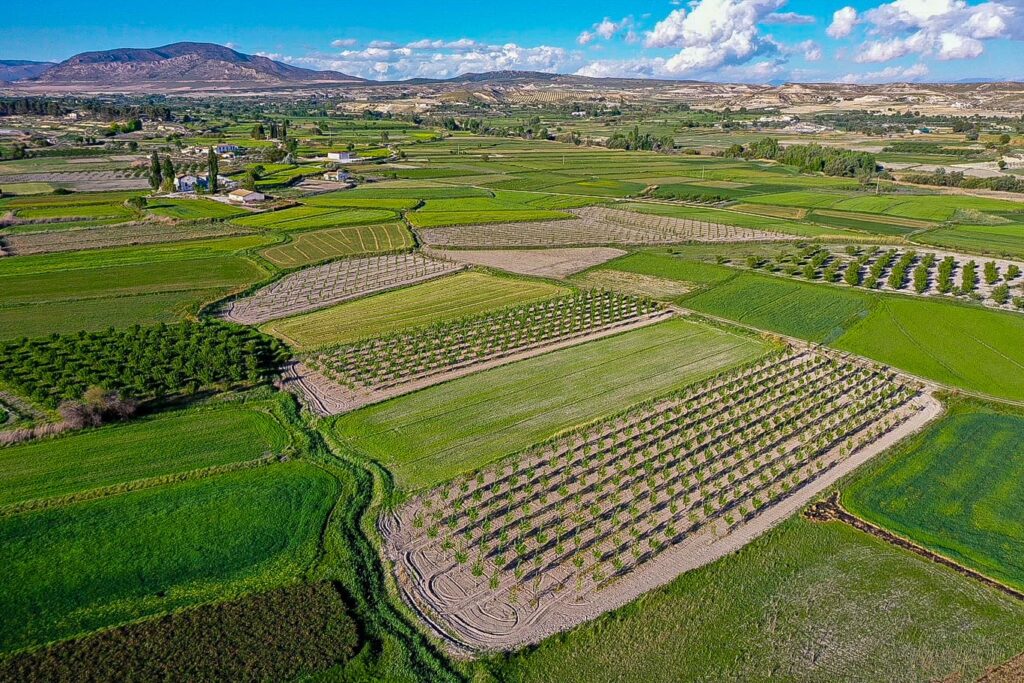 Un pueblo para vivirlo
